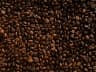 Monsooned Malabar AA (GI)