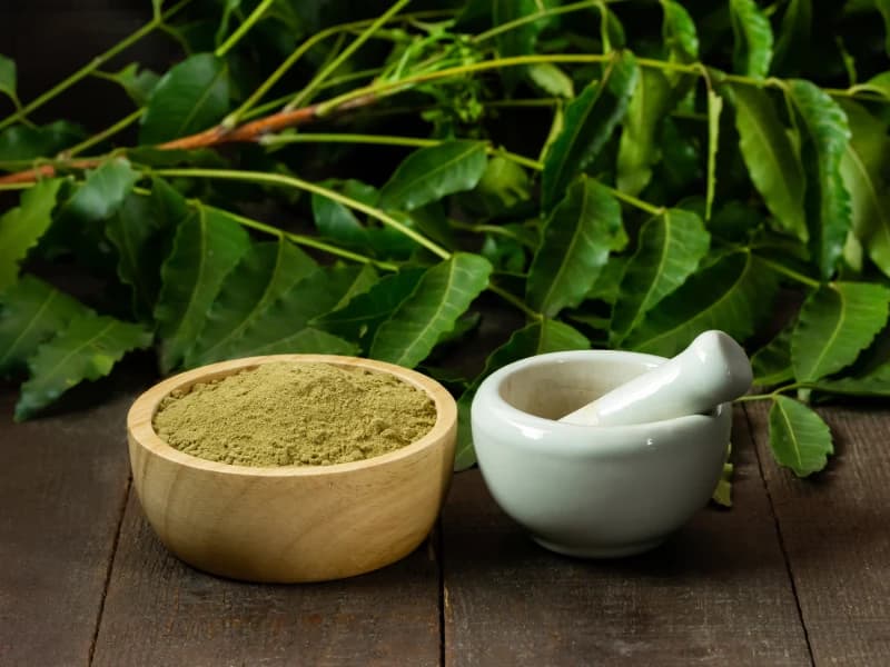 Neem Leaf Botanical Powder Plantae Exports
