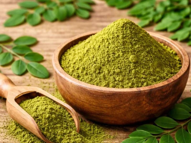 Shade Dried Moringa Oleifera Leaves Plantae Exports
