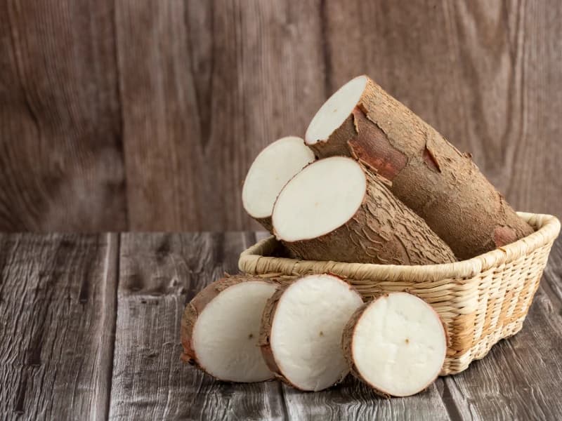Fresh Tapioca Cassava Roots Keralam Origin Plantae Exports
