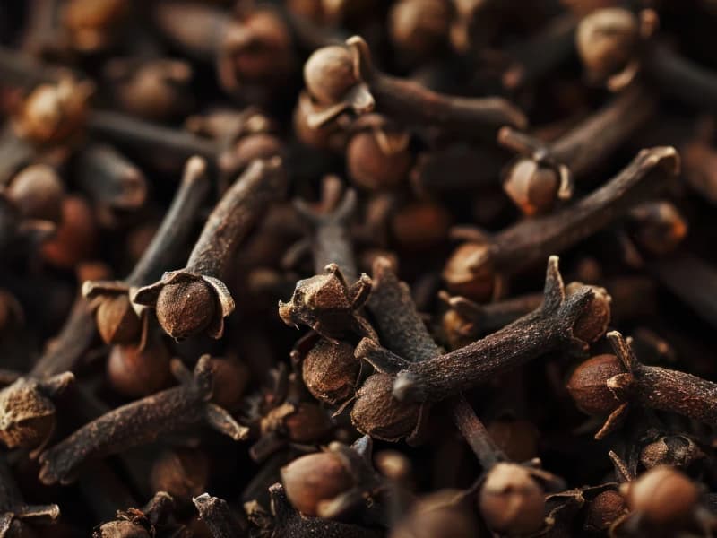 Indian Whole Cloves Plantae Exports