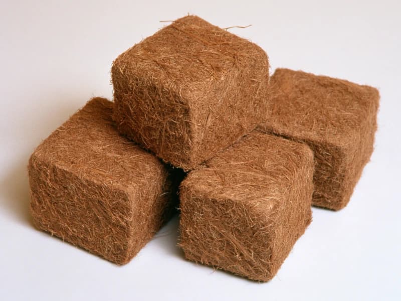 Retail Coir Briquettes 650g Bricks Plantae Exports
