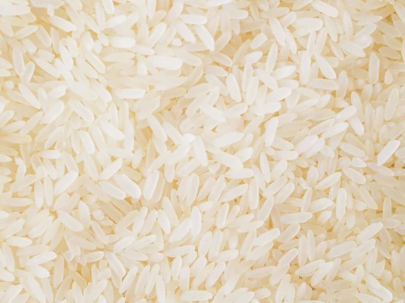 Sona Masoori Medium Grain Rice Plantae Exports