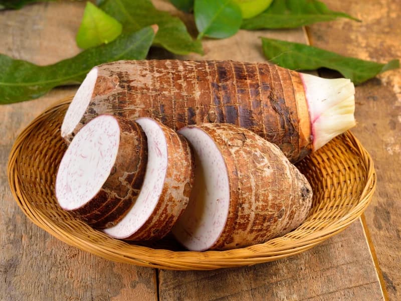 Fresh Taro Roots (Colocasia Corms) Plantae Exports